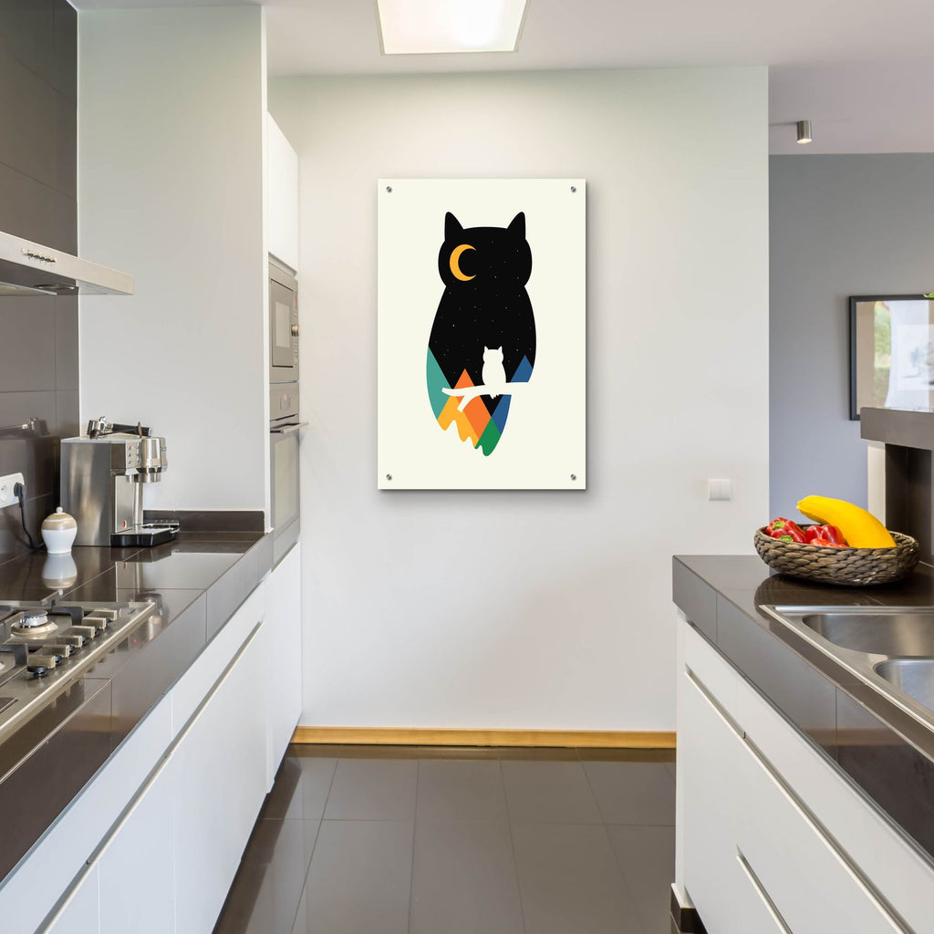Eye On Owl by Andy Westface - 24x36 acrylic wall art in a room