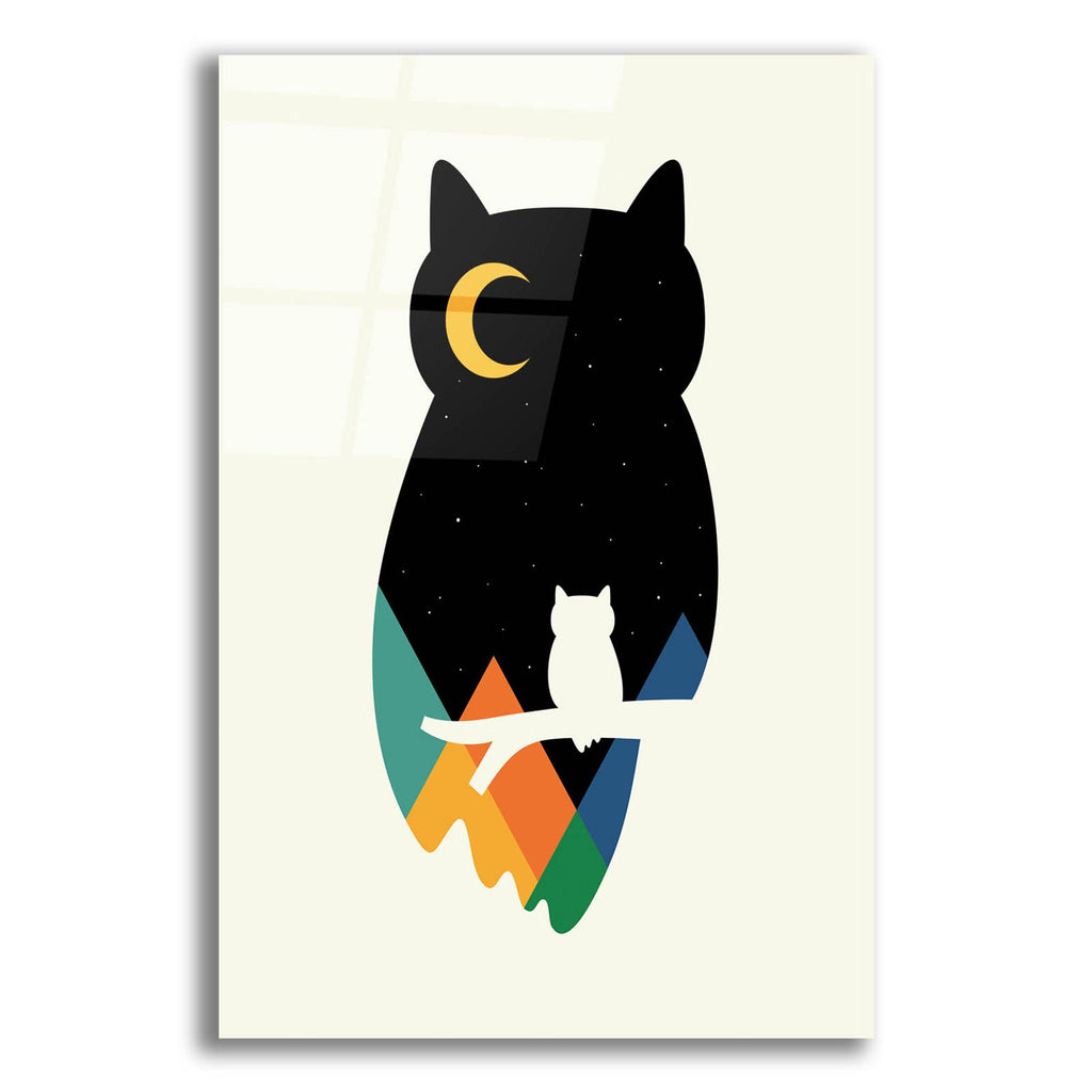 Eye On Owl by Andy Westface acrylic glass wall art