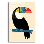 Rainbow Toucan by Andy Westface acrylic glass wall art