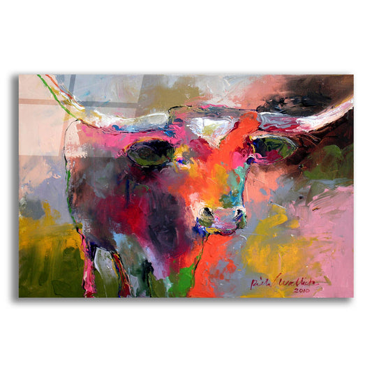 Epic Art 'Texas Longhorn' by Richard Wallich, Acrylic Glass Wall Art