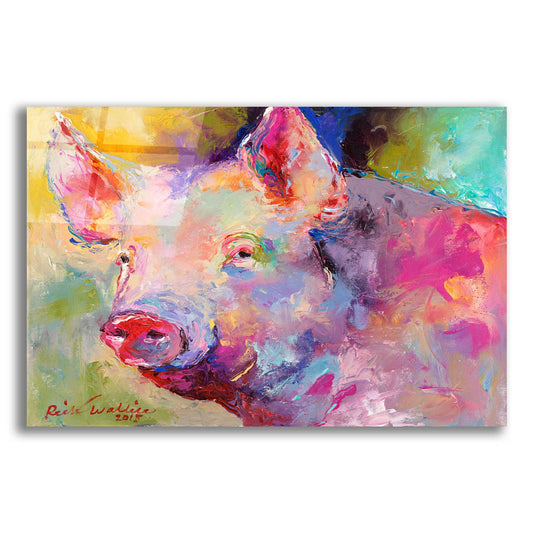 Epic Art 'Piggy' by Richard Wallich, Acrylic Glass Wall Art