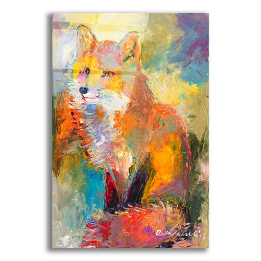 Epic Art 'Fox' by Richard Wallich, Acrylic Glass Wall Art