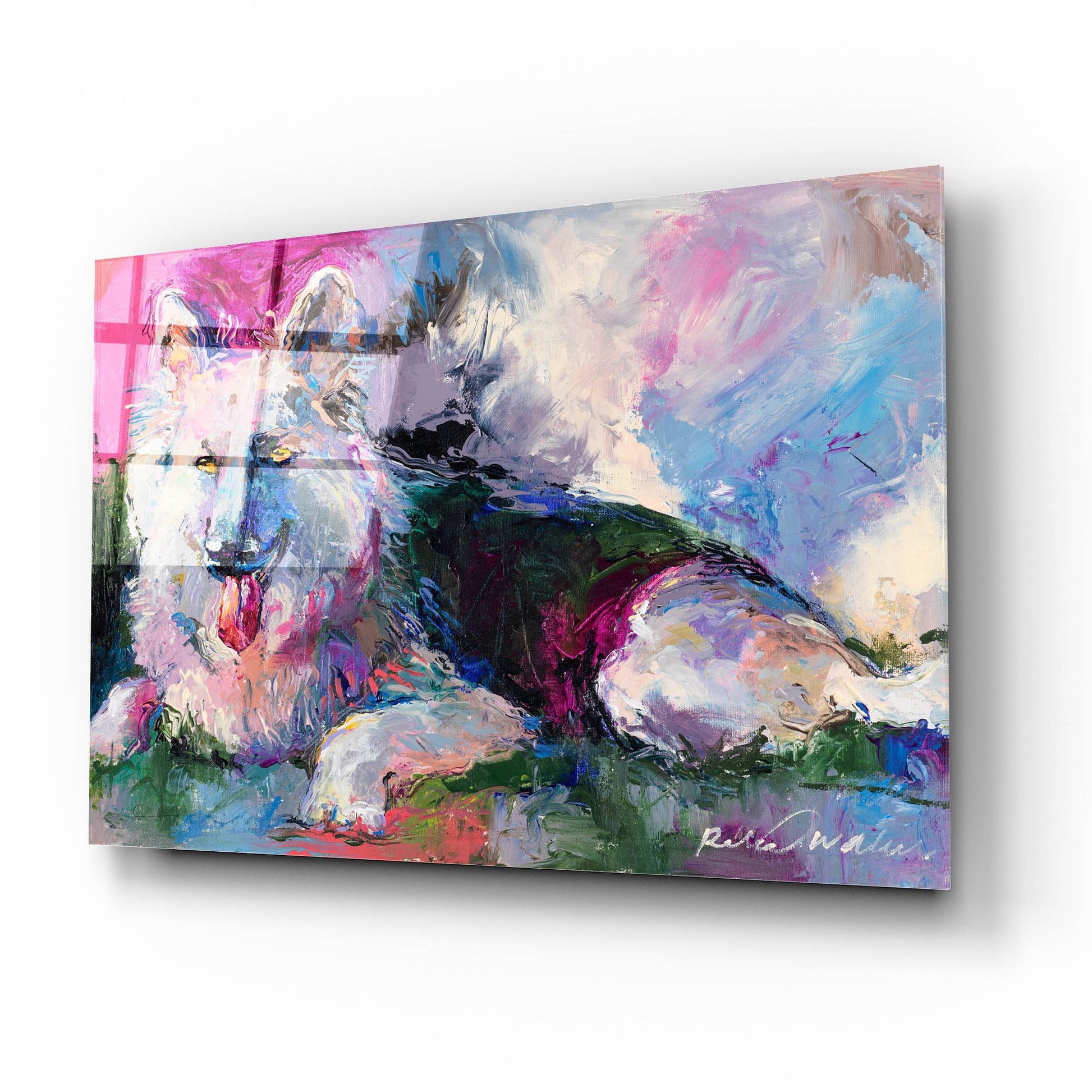 Epic Art 'German Shepherd' by Richard Wallich, Acrylic Glass Wall Art,16x12