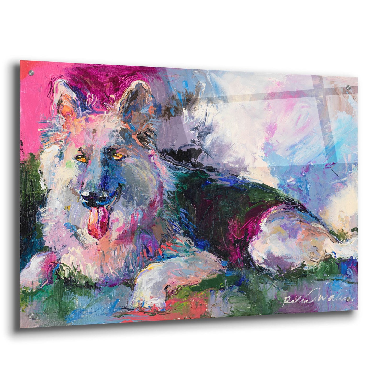 Epic Art 'German Shepherd' by Richard Wallich, Acrylic Glass Wall Art,36x24