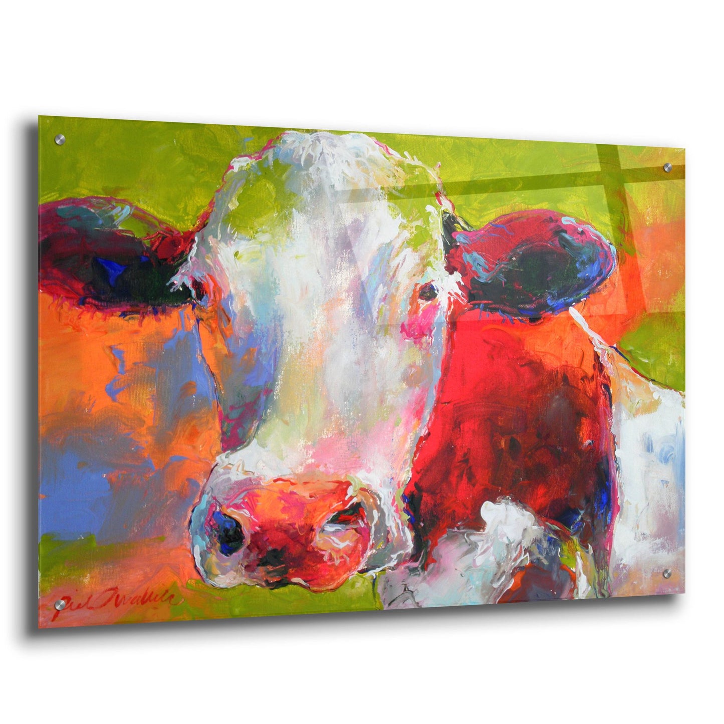 Epic Art 'Art Cow' by Richard Wallich, Acrylic Glass Wall Art,36x24