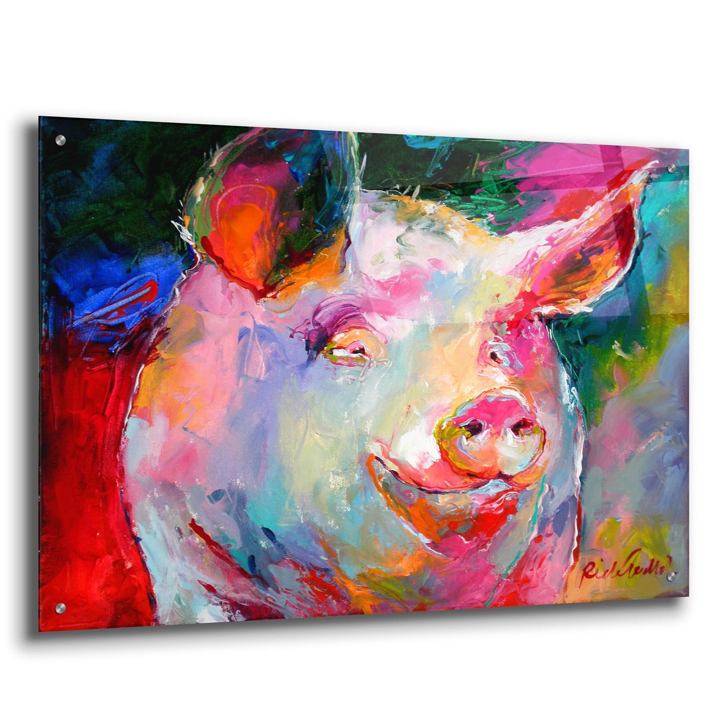 Epic Art 'Art Pig 1' by Richard Wallich, Acrylic Glass Wall Art,36x24