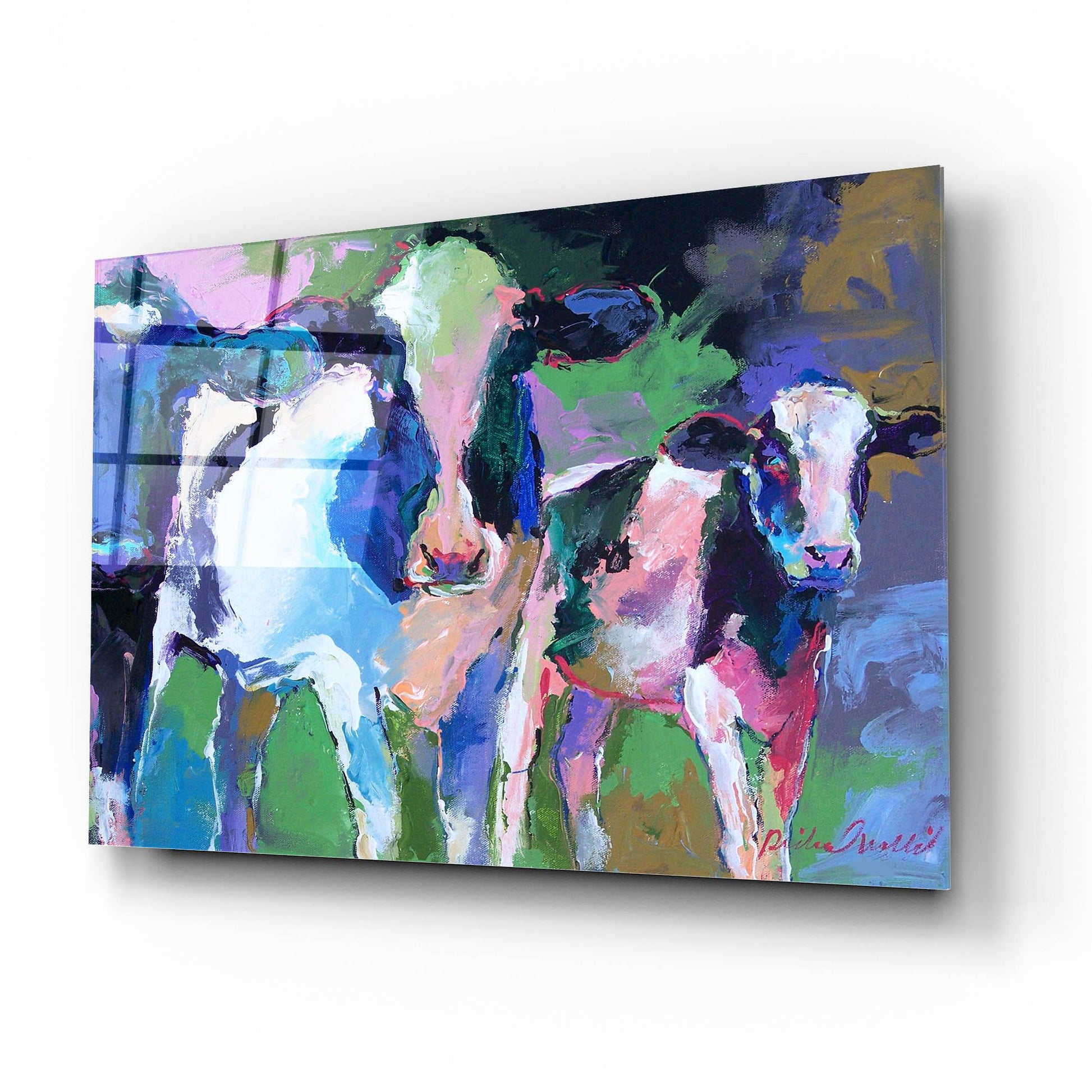 Epic Art 'Art 3 Cows' by Richard Wallich, Acrylic Glass Wall Art,16x12