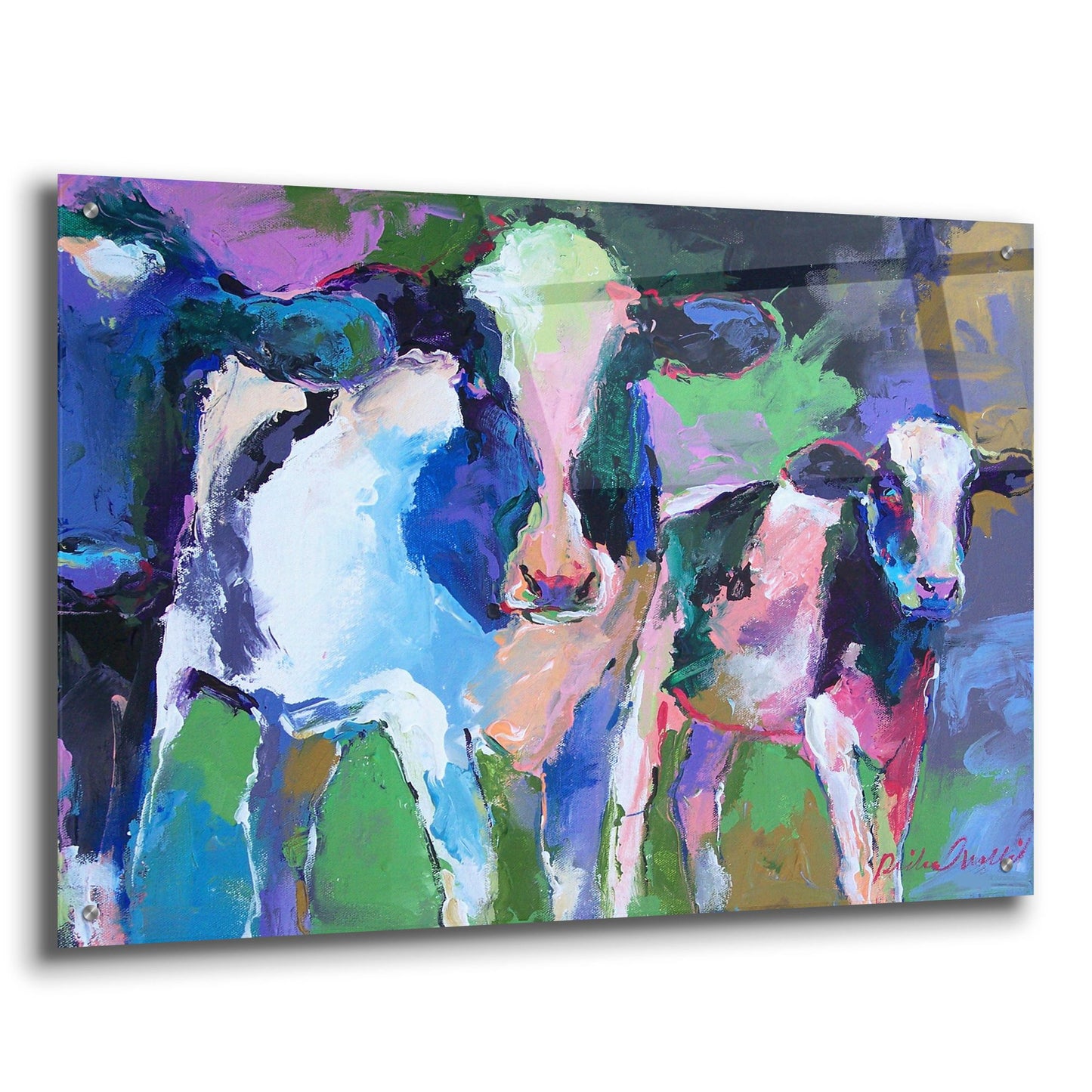 Epic Art 'Art 3 Cows' by Richard Wallich, Acrylic Glass Wall Art,36x24