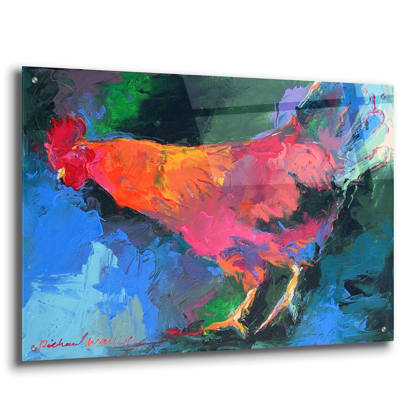 Epic Art 'Art Chicken' by Richard Wallich, Acrylic Glass Wall Art,36x24