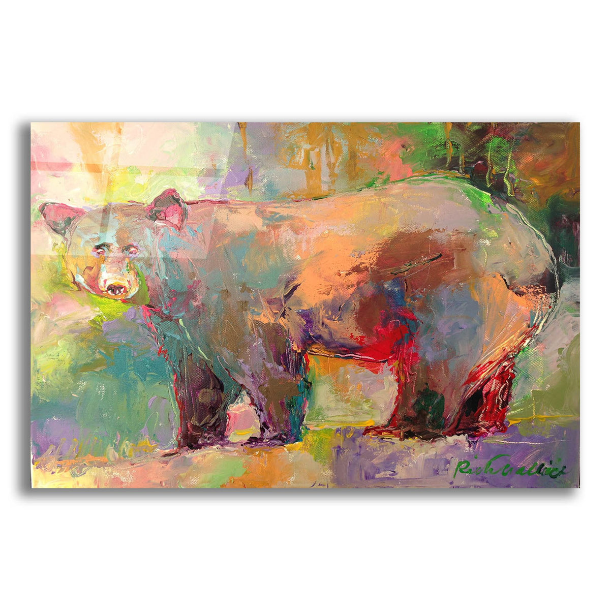 Epic Art 'artbear' by Richard Wallich, Acrylic Glass Wall Art