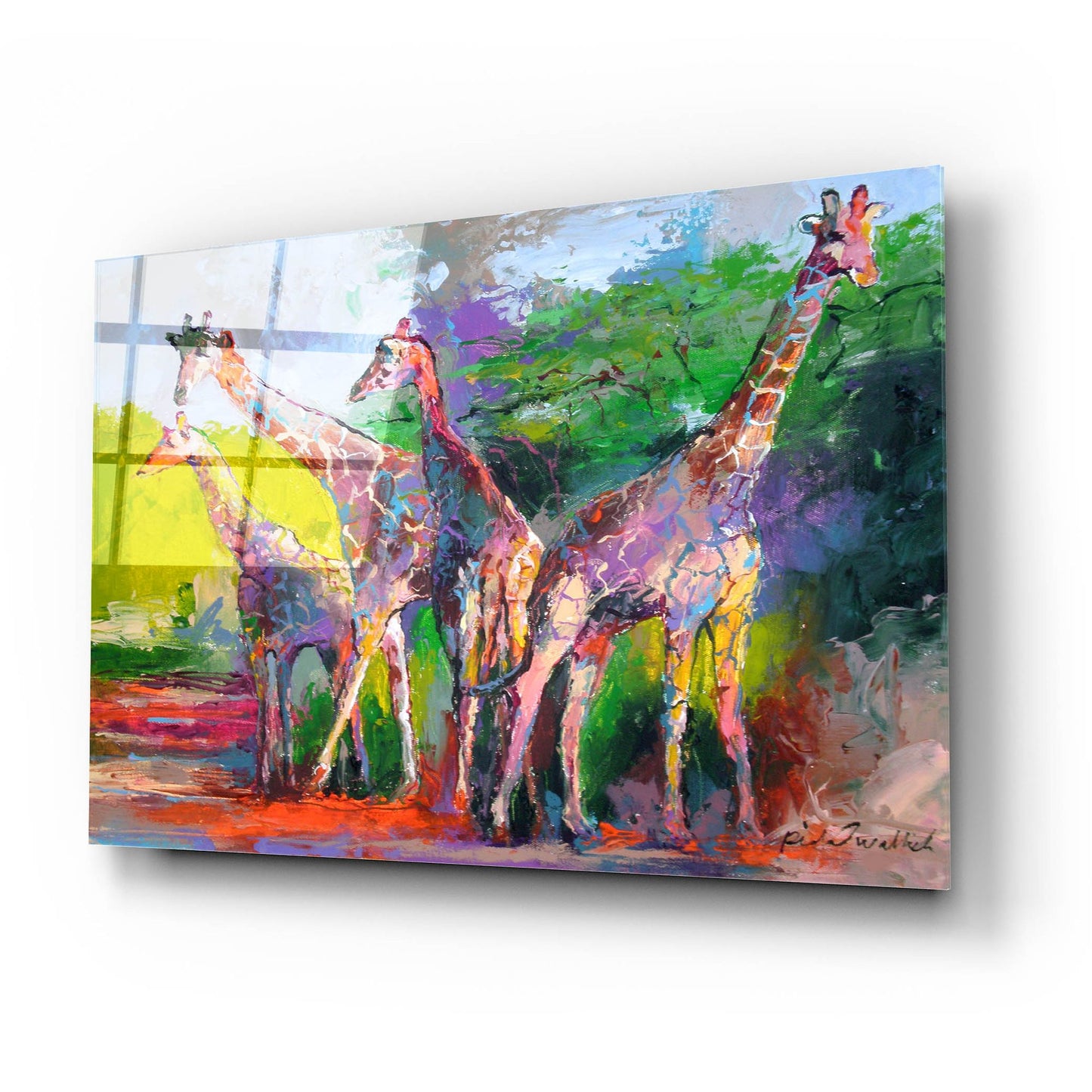 Epic Art 'artgirra' by Richard Wallich, Acrylic Glass Wall Art,24x16