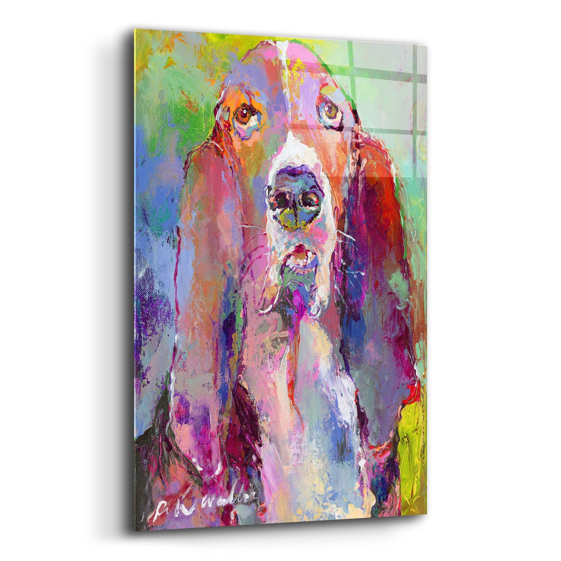 Epic Art 'Art Basset Hound' by Richard Wallich, Acrylic Glass Wall Art,12x16