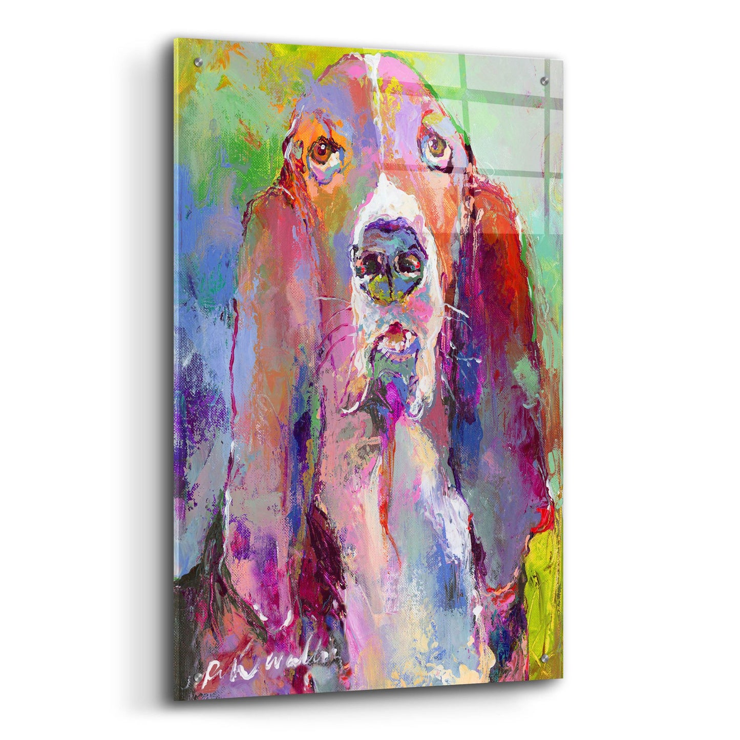 Epic Art 'Art Basset Hound' by Richard Wallich, Acrylic Glass Wall Art,24x36