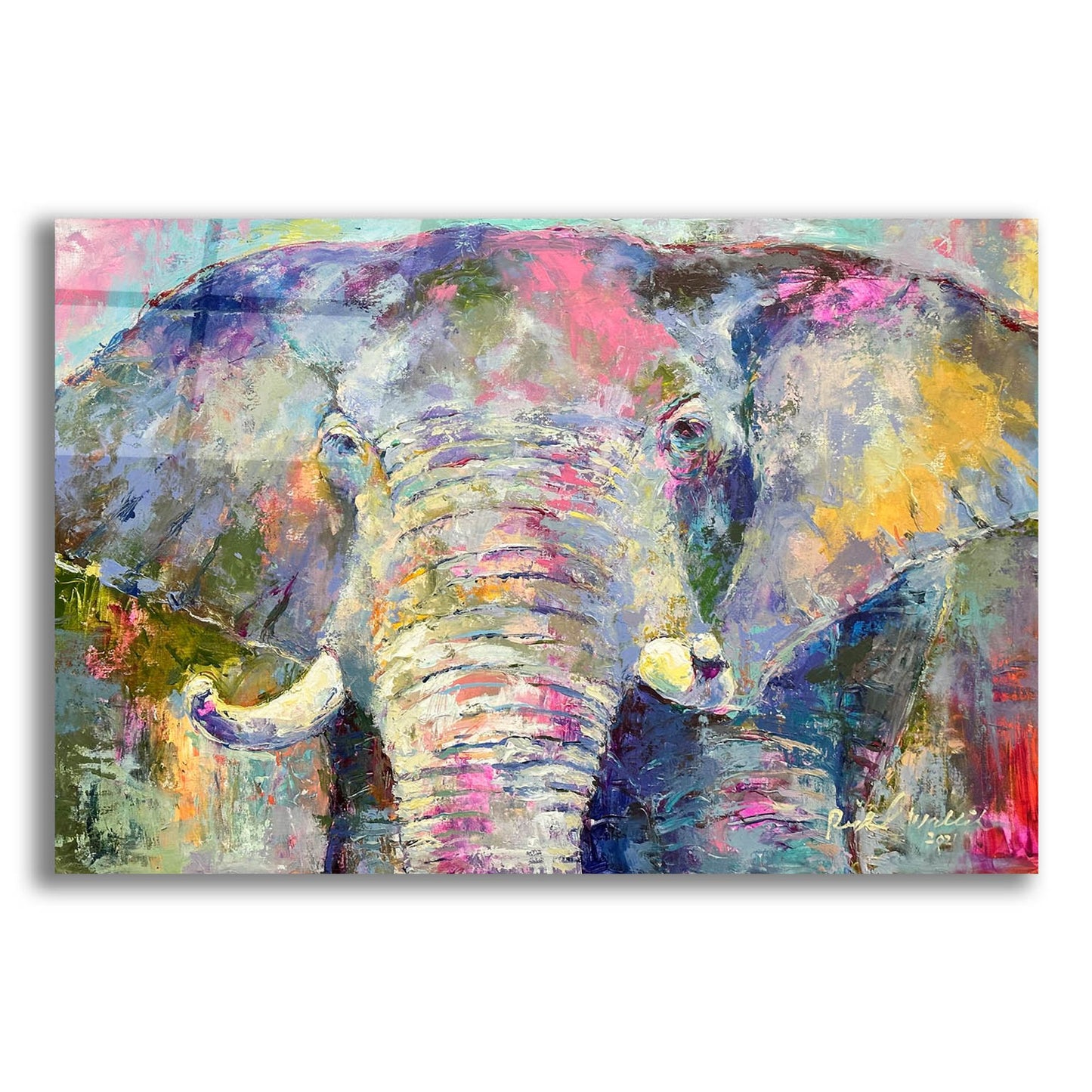Epic Art 'Elephant 22' by Richard Wallich, Acrylic Glass Wall Art