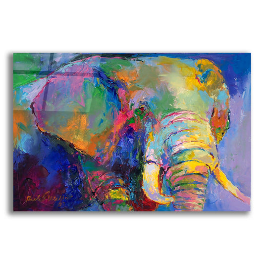Epic Art 'Elephant 23' by Richard Wallich, Acrylic Glass Wall Art