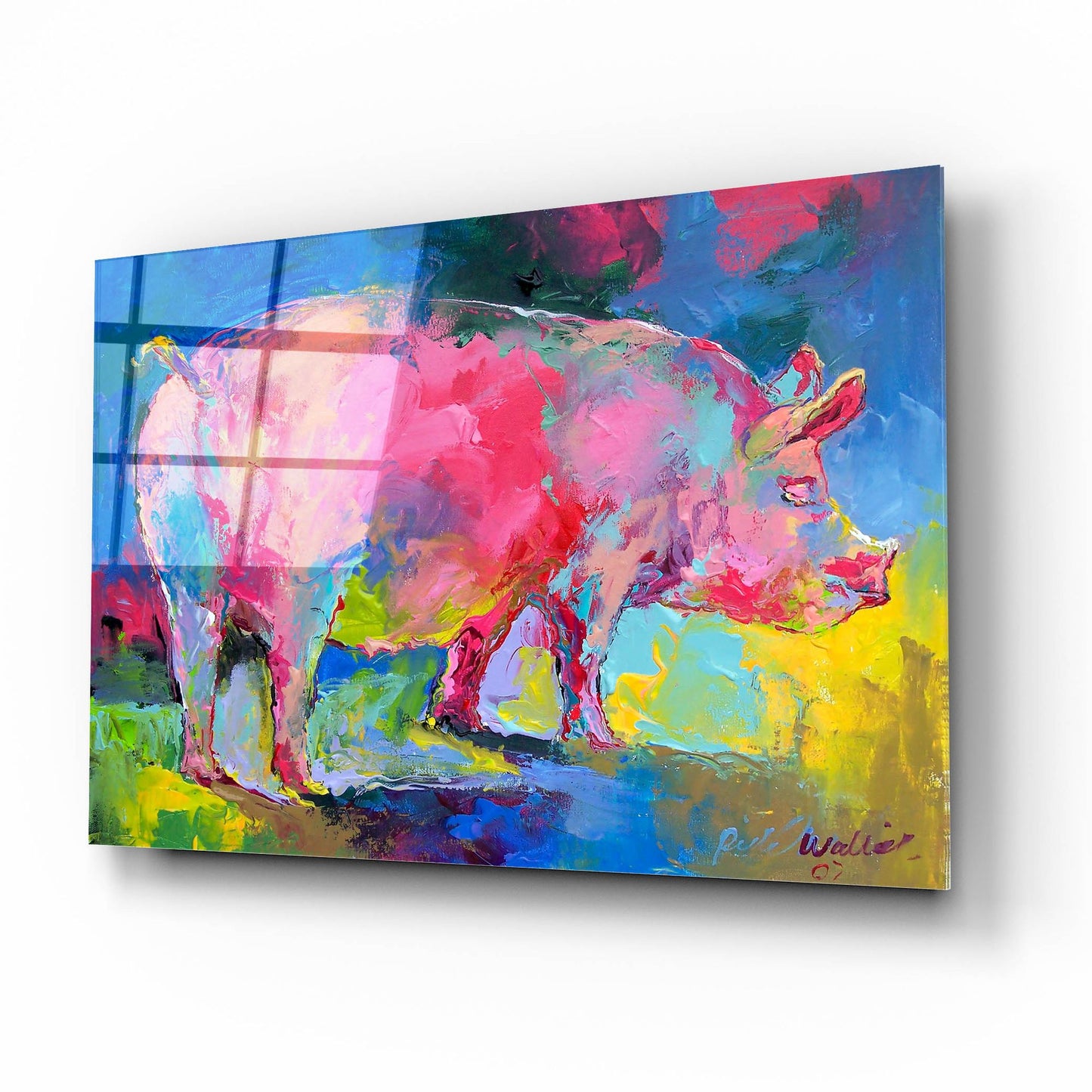 Epic Art 'Piggie' by Richard Wallich, Acrylic Glass Wall Art,16x12