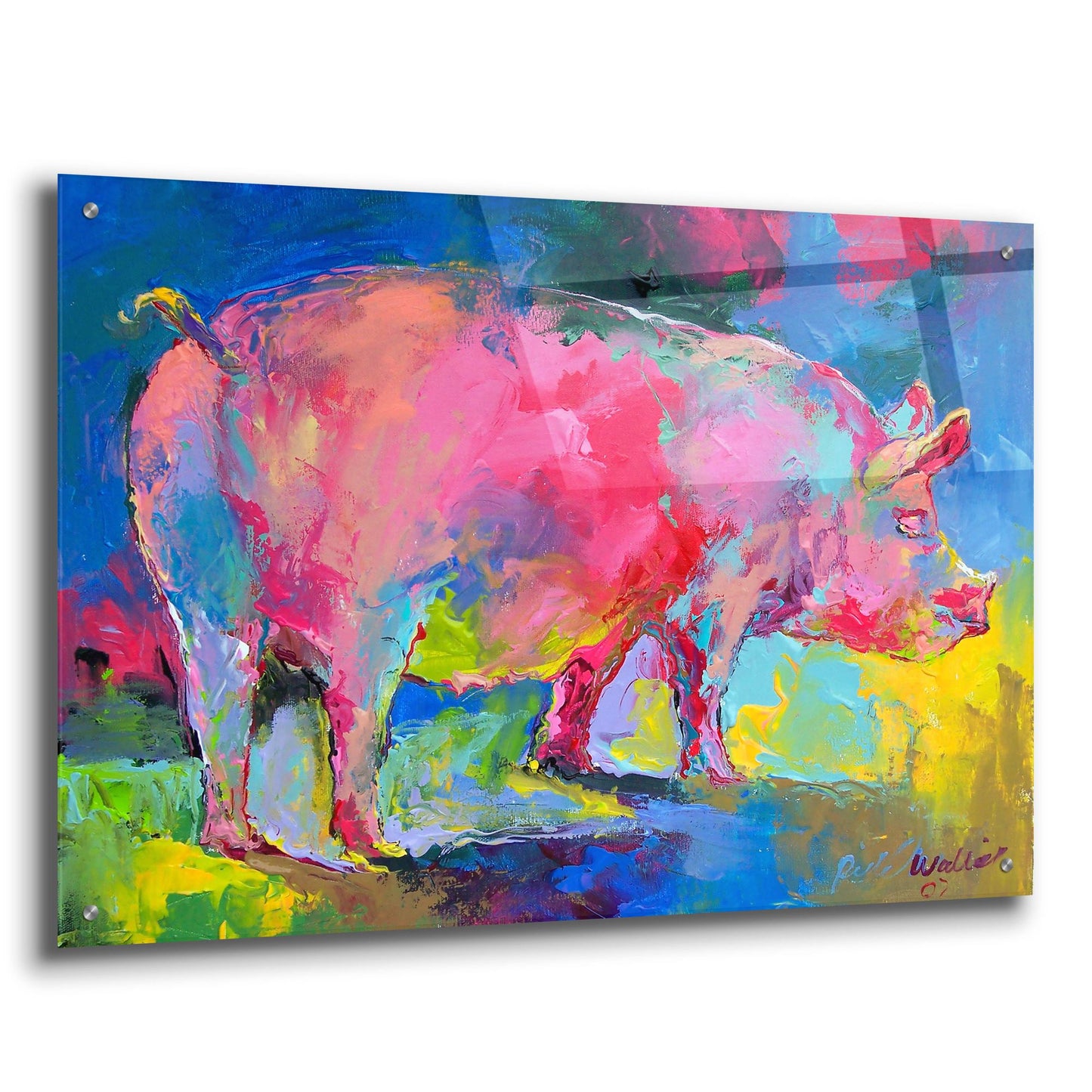 Epic Art 'Piggie' by Richard Wallich, Acrylic Glass Wall Art,36x24