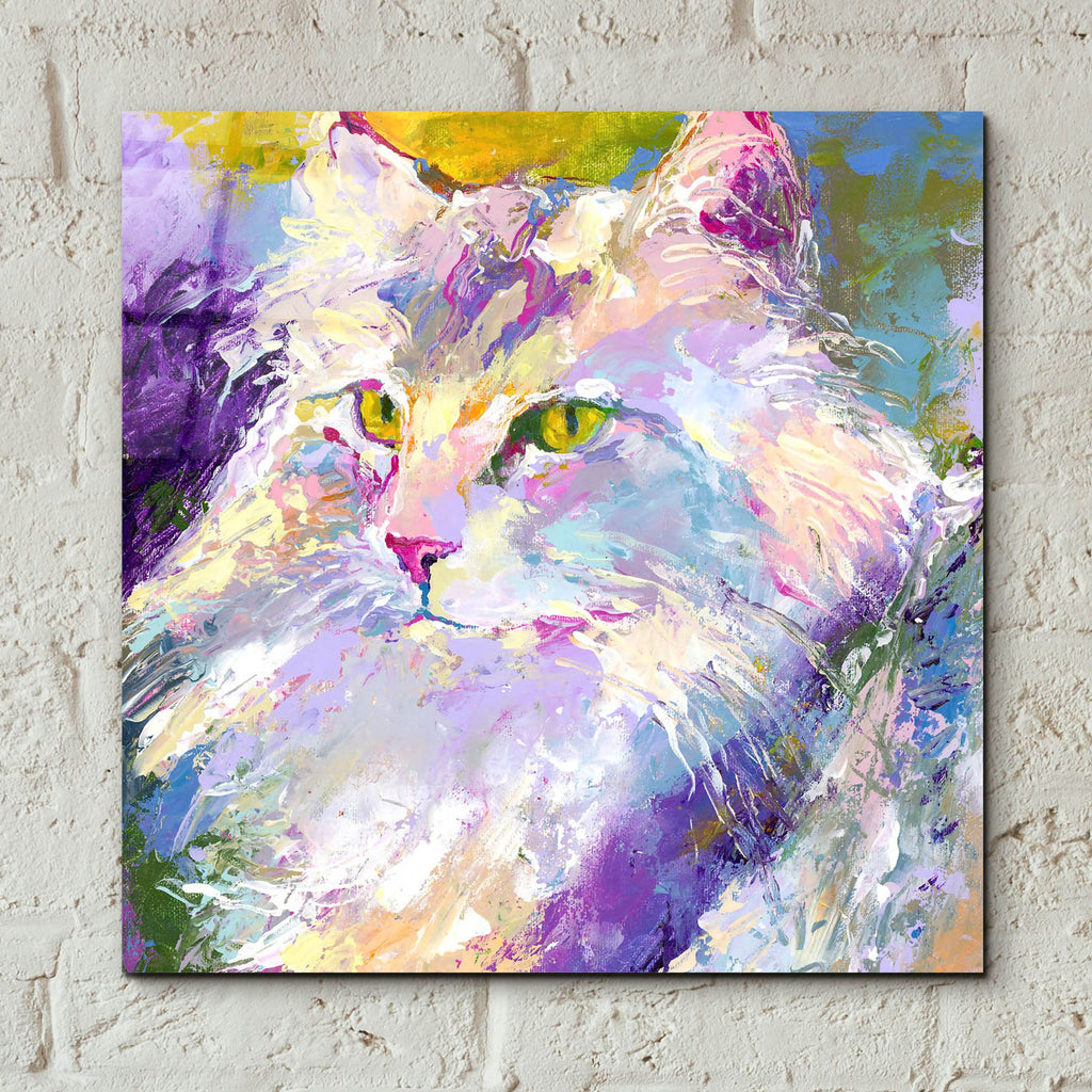 Epic Art 'Mr Puff' by Richard Wallich, Acrylic Glass Wall Art,12x12