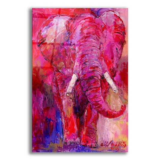 Epic Art 'Pink Elephant' by Richard Wallich, Acrylic Glass Wall Art