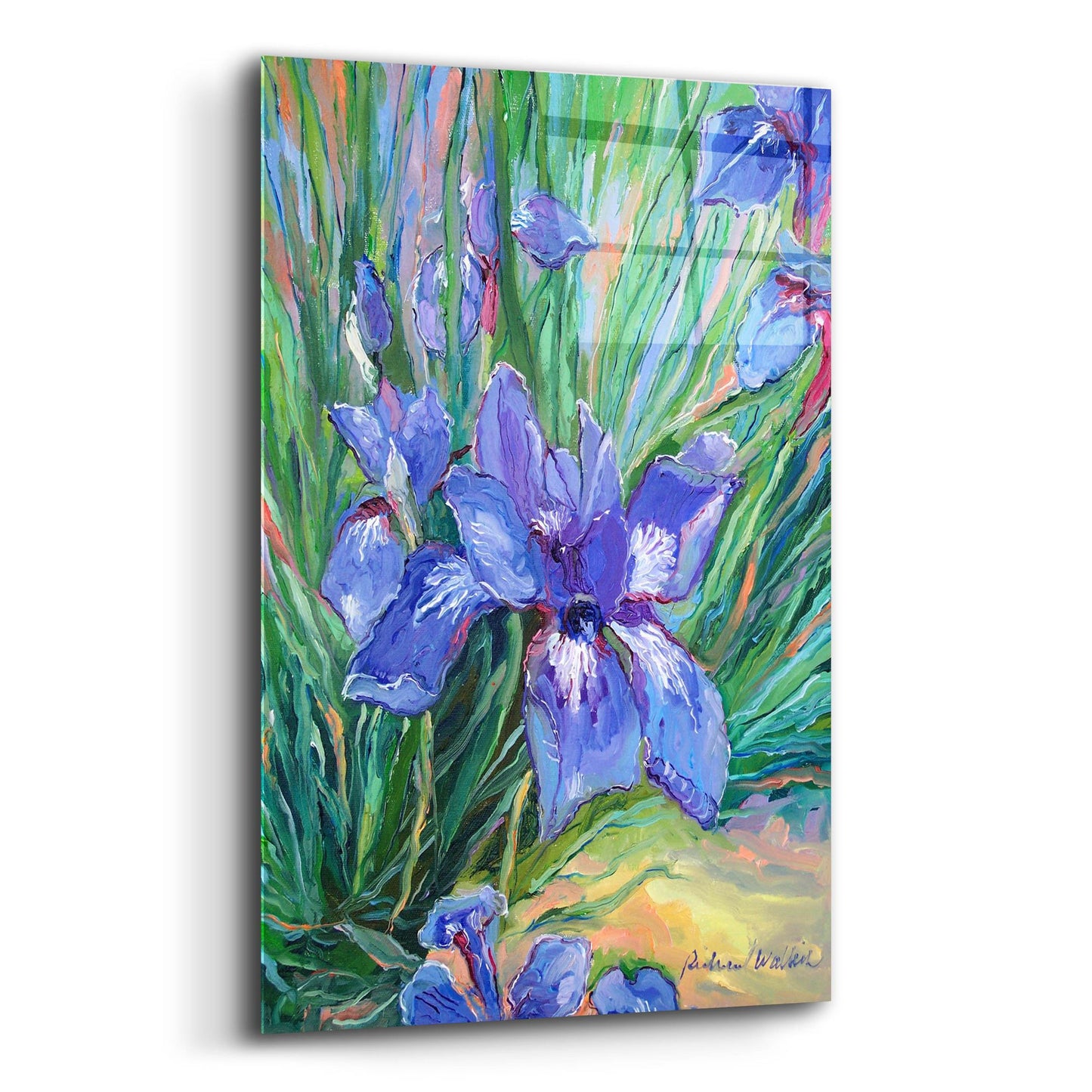 Epic Art 'Iris' by Richard Wallich, Acrylic Glass Wall Art,12x16