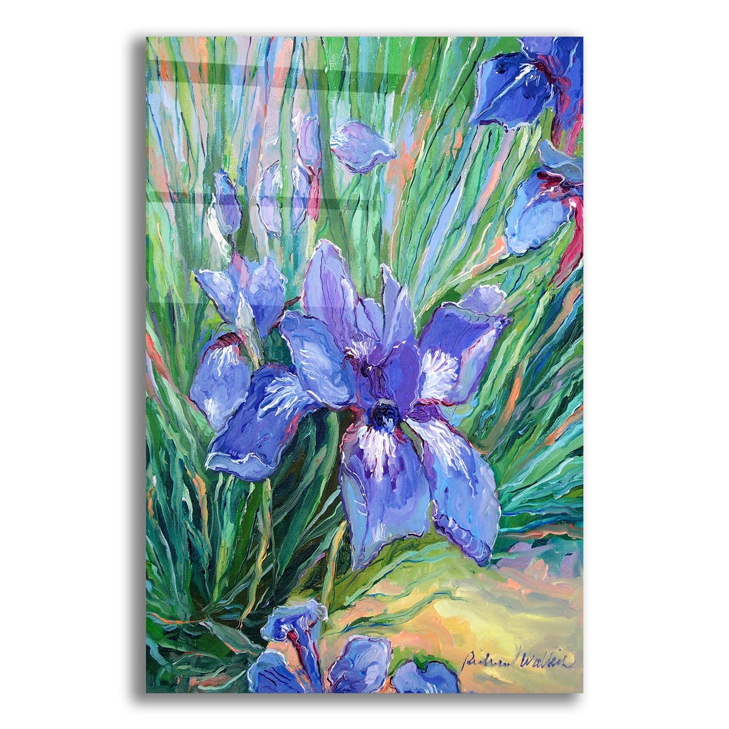 Epic Art 'Iris' by Richard Wallich, Acrylic Glass Wall Art