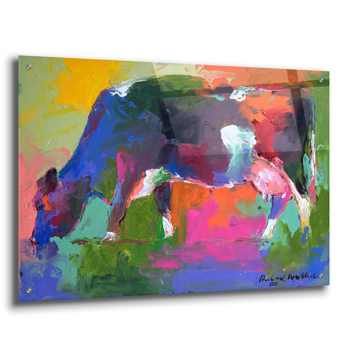 Epic Art 'Cow 2' by Richard Wallich, Acrylic Glass Wall Art,36x24