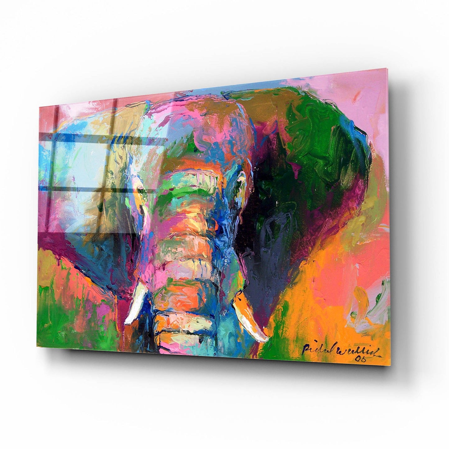 Epic Art 'Elephant 2' by Richard Wallich, Acrylic Glass Wall Art,16x12