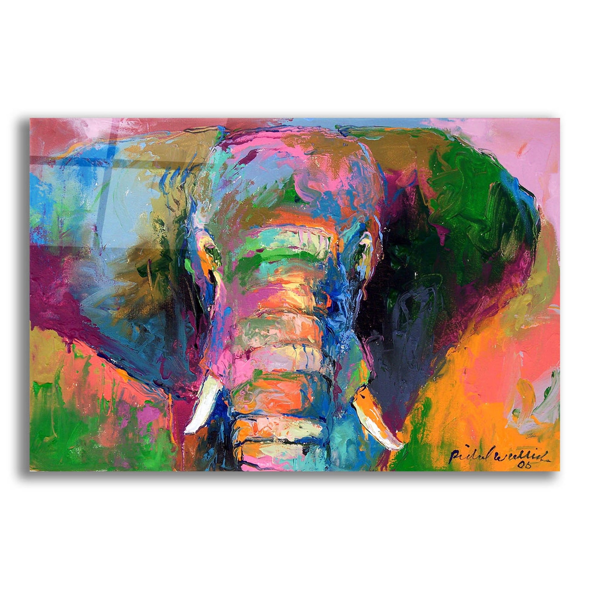 Epic Art 'Elephant 2' by Richard Wallich, Acrylic Glass Wall Art