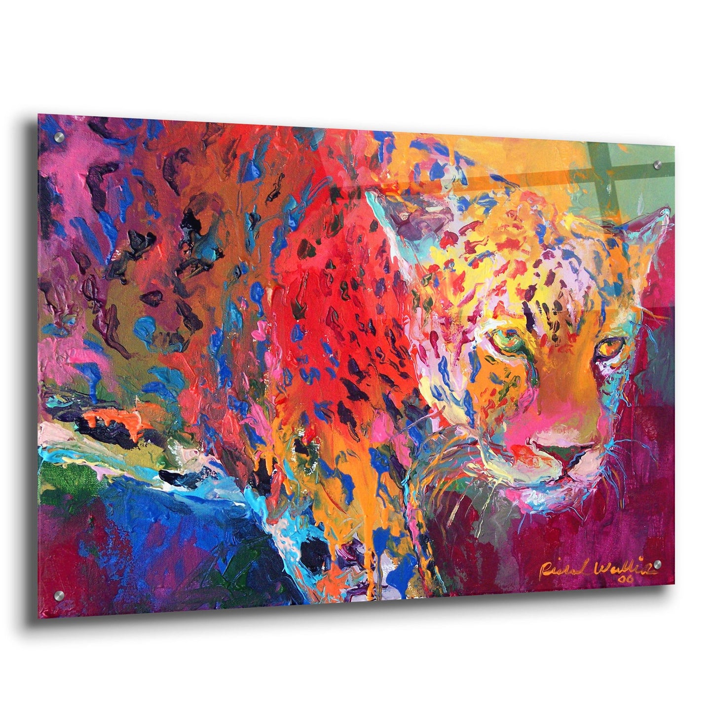 Epic Art 'Leopard 1' by Richard Wallich, Acrylic Glass Wall Art,36x24