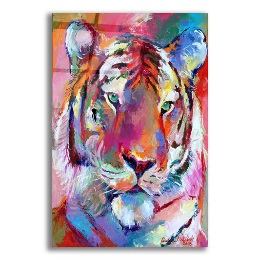 Epic Art 'Tiger 4' by Richard Wallich, Acrylic Glass Wall Art