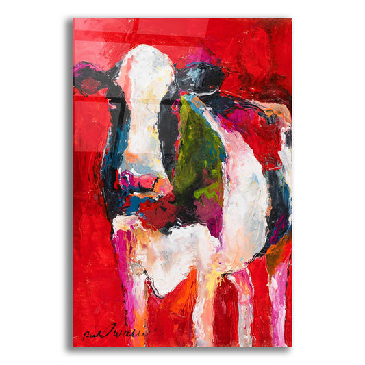 Epic Art 'Cow' by Richard Wallich, Acrylic Glass Wall Art