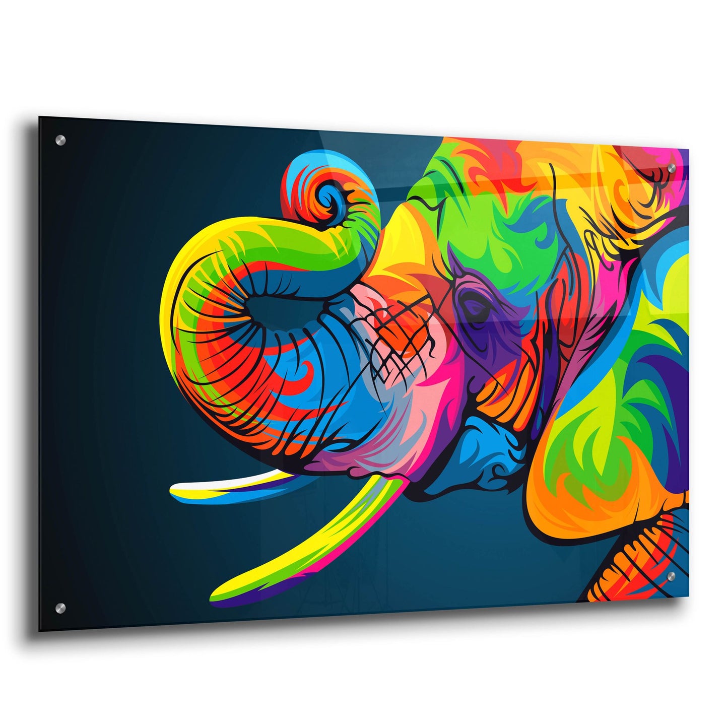 Epic Art 'Elephant' by Bob Weer, Acrylic Glass Wall Art,36x24