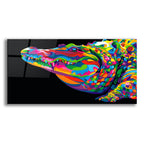 Crocodile Smile by Bob Weer acrylic glass wall art