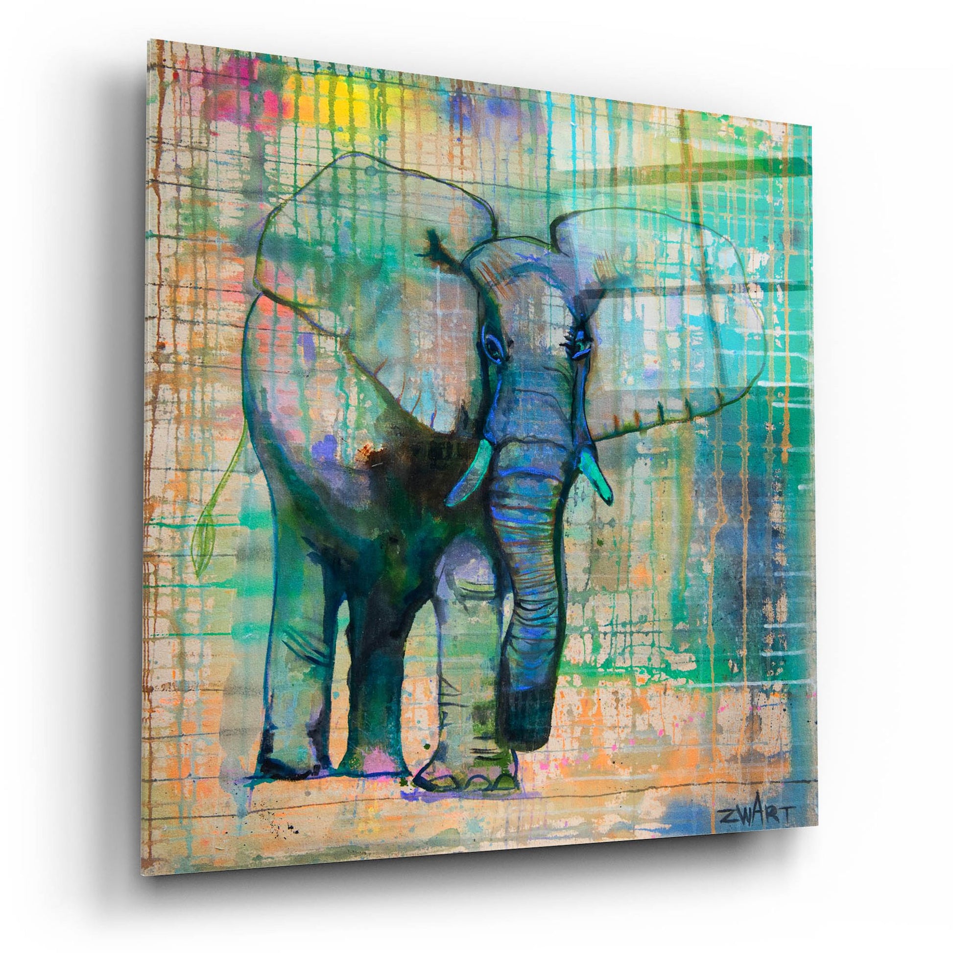 Epic Art 'Elephant In Charge' by Zwart, Acrylic Glass Wall Art,12x12