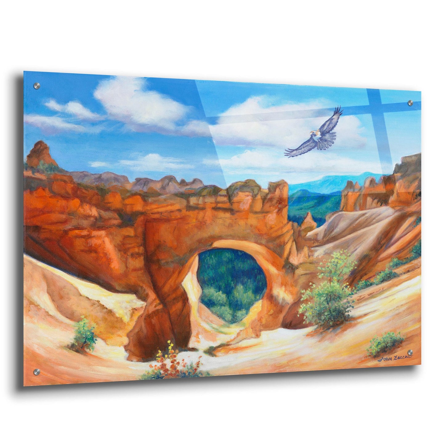 Epic Art 'Hawk Over Bryce Canyon' by John Zaccheo, Acrylic Glass Wall Art,36x24