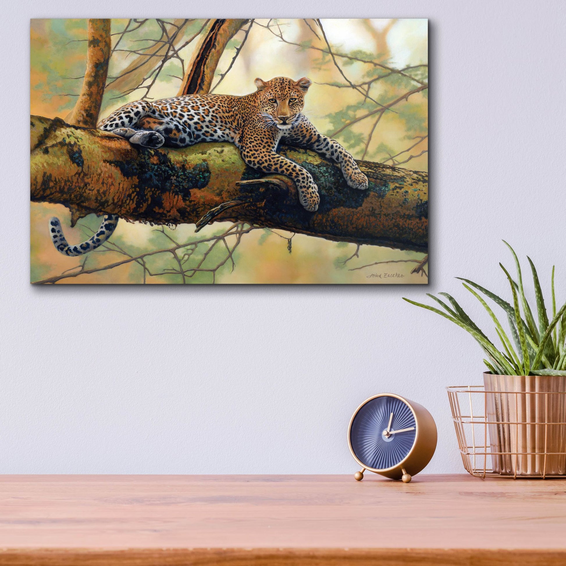 Epic Art 'African Leopard' by John Zaccheo, Acrylic Glass Wall Art,16x12