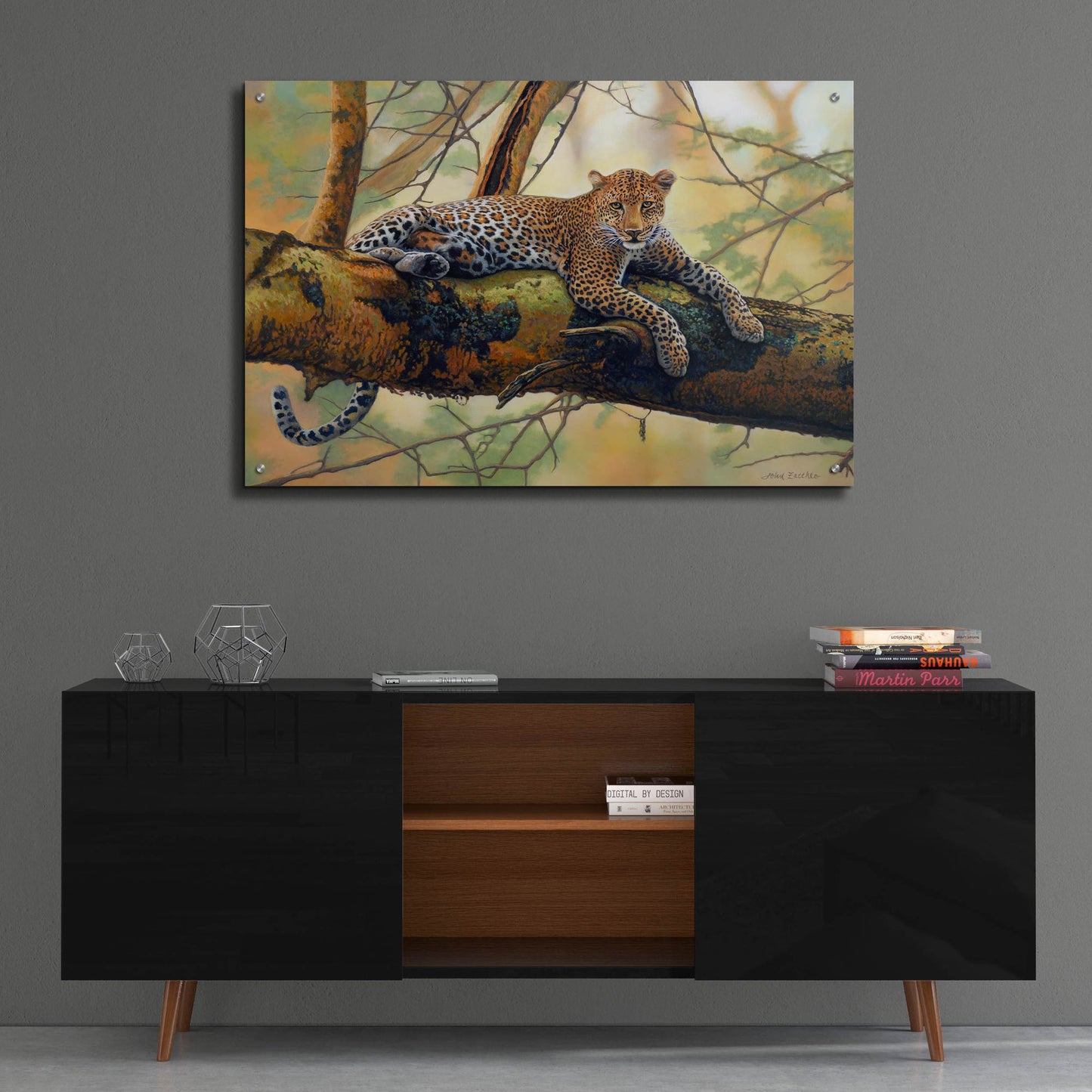 Epic Art 'African Leopard' by John Zaccheo, Acrylic Glass Wall Art,36x24