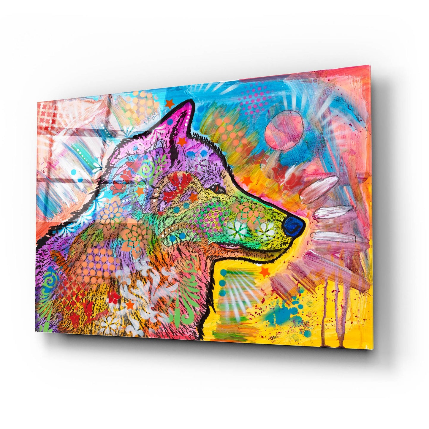 Epic Art 'Observing' by Dean Russo, Acrylic Glass Wall Art,24x16