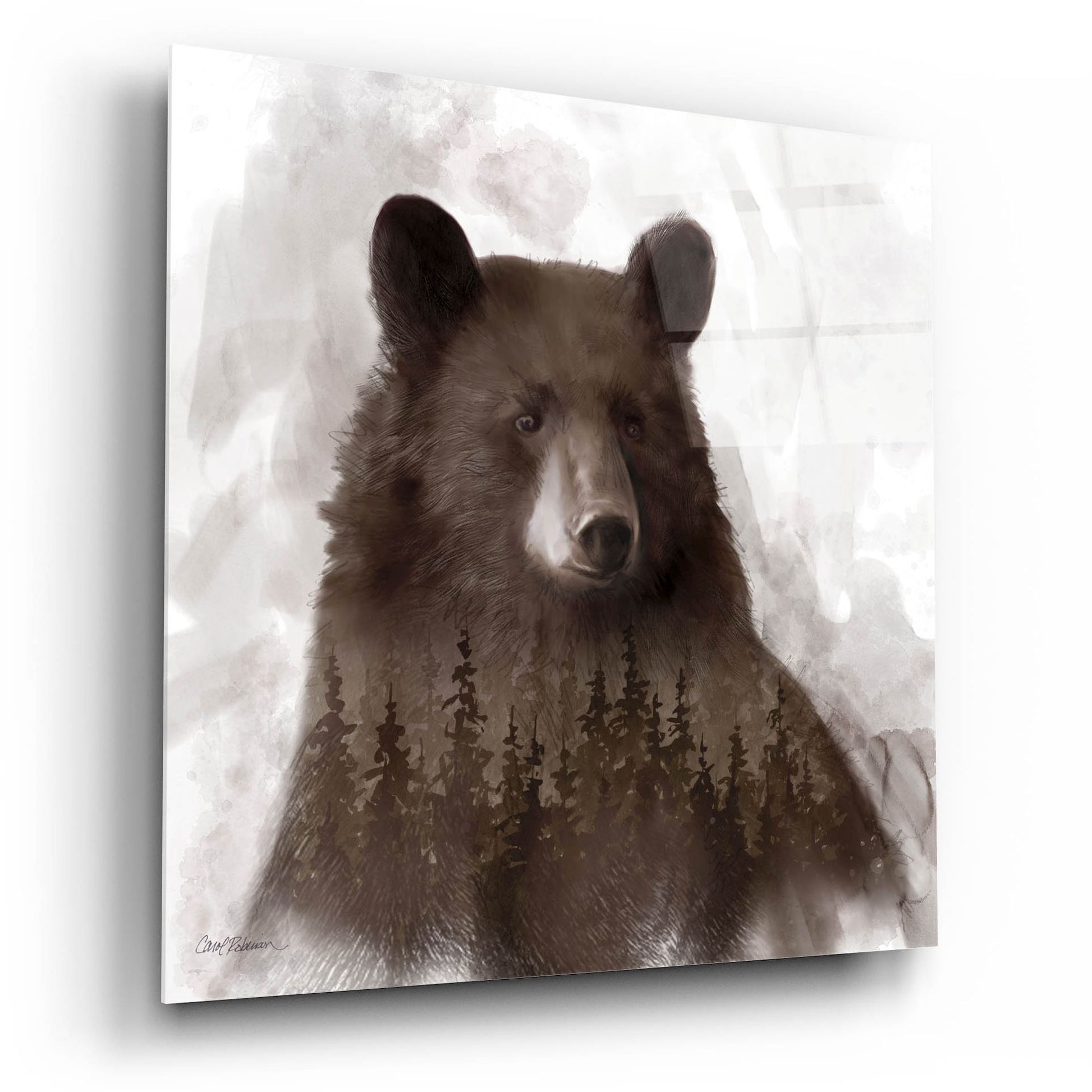 Epic Art 'Bear Mountain' by Carol Robinson, Acrylic Glass Wall Art,12x12