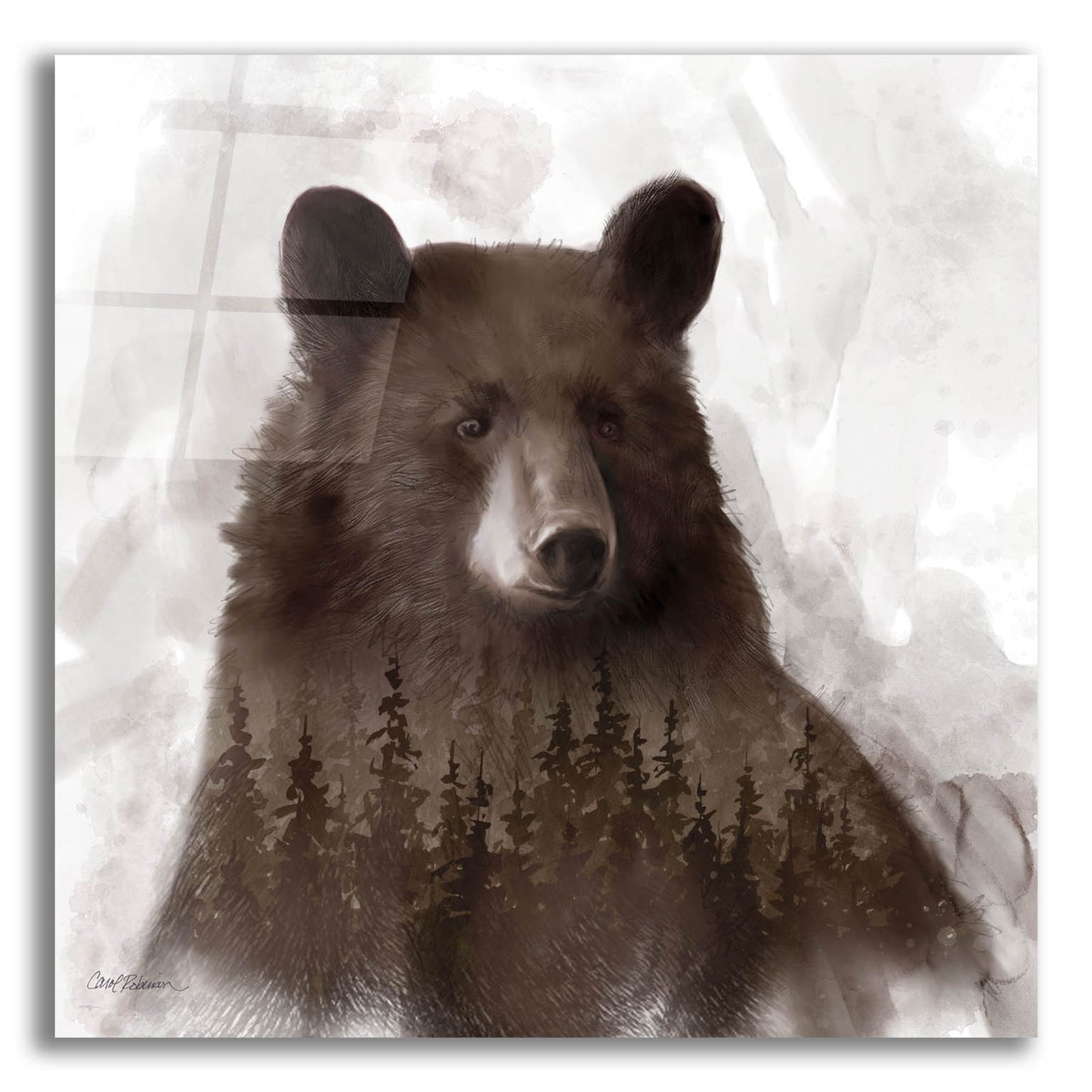 Epic Art 'Bear Mountain' by Carol Robinson, Acrylic Glass Wall Art