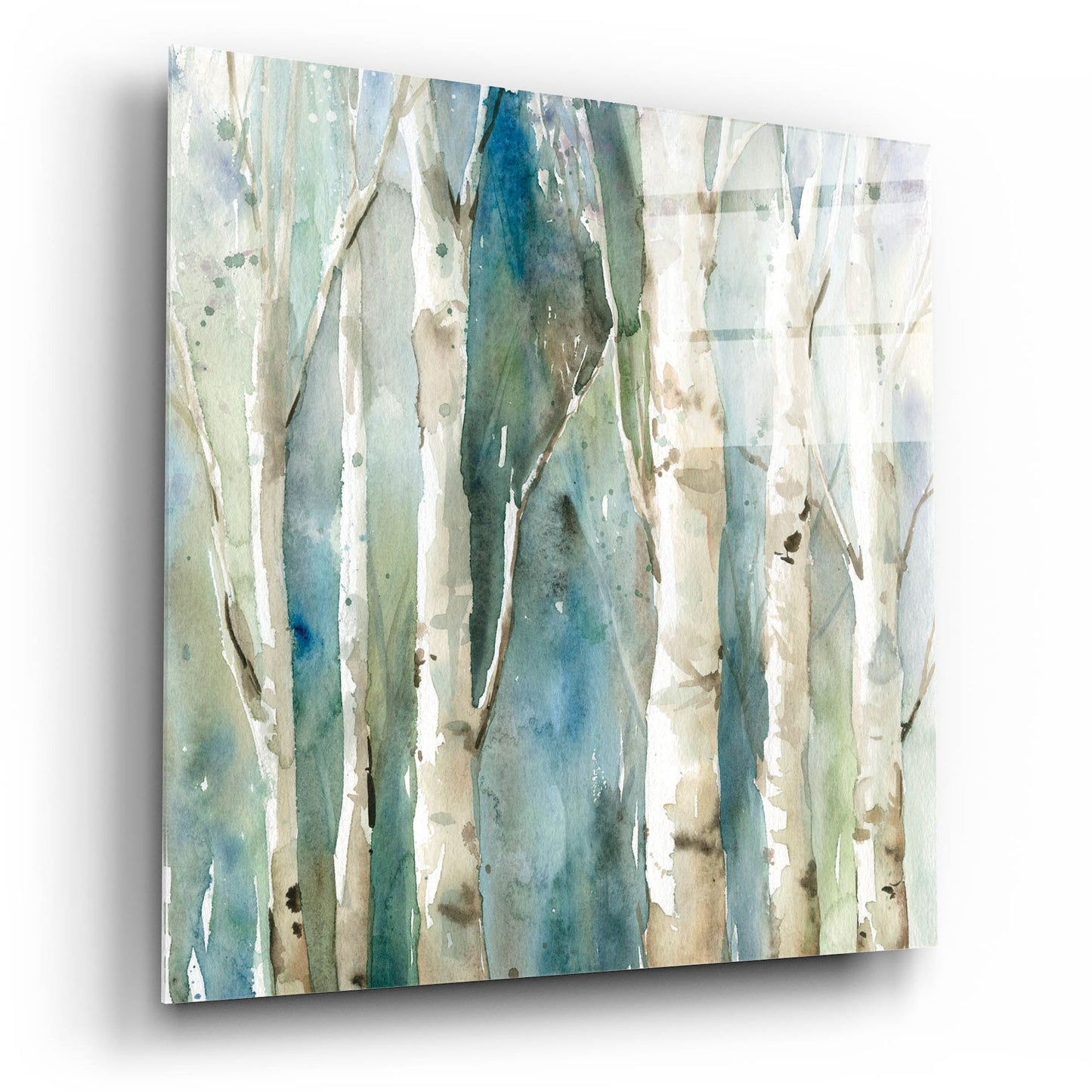 Epic Art 'River Birch' by Carol Robinson, Acrylic Glass Wall Art,12x12