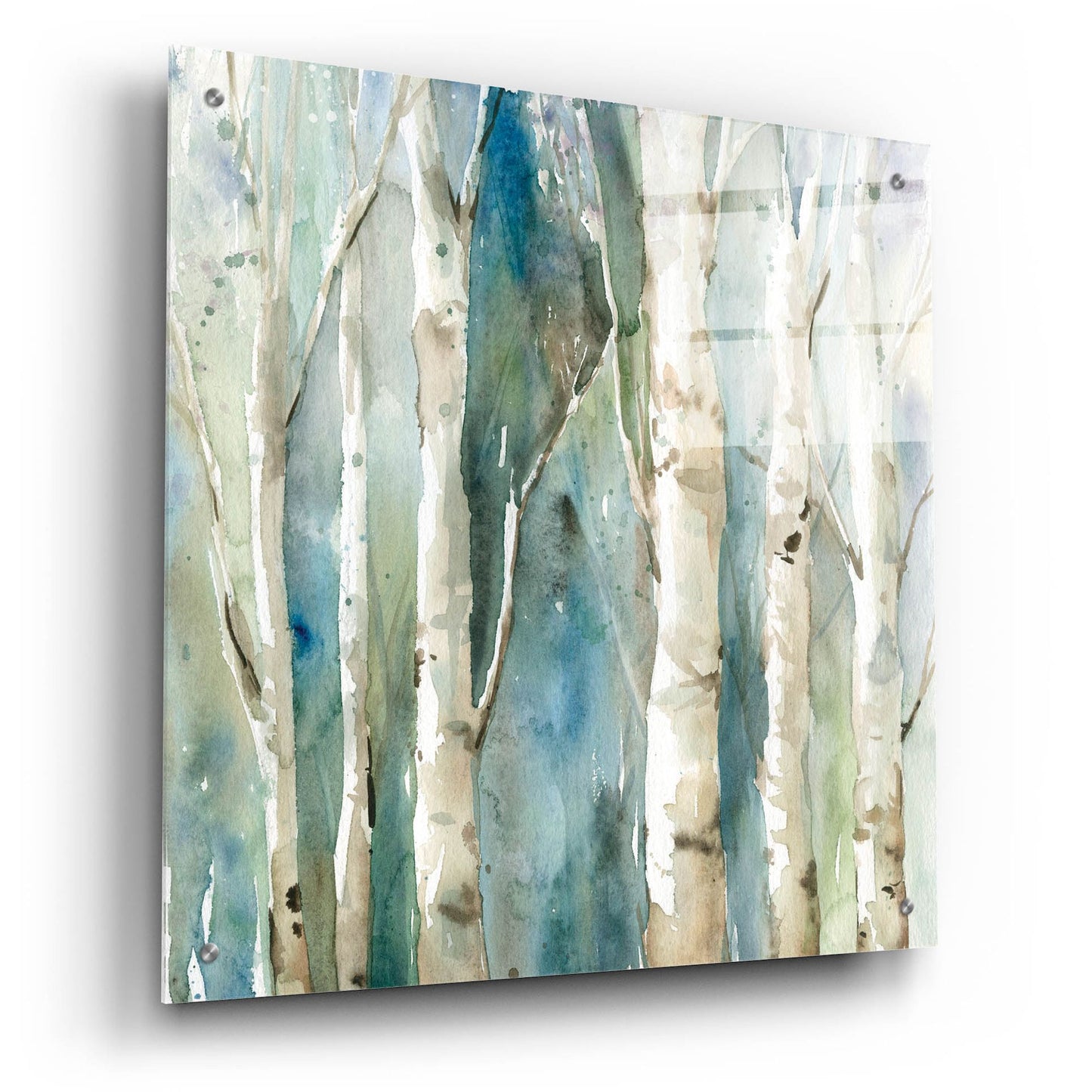 Epic Art 'River Birch' by Carol Robinson, Acrylic Glass Wall Art,24x24