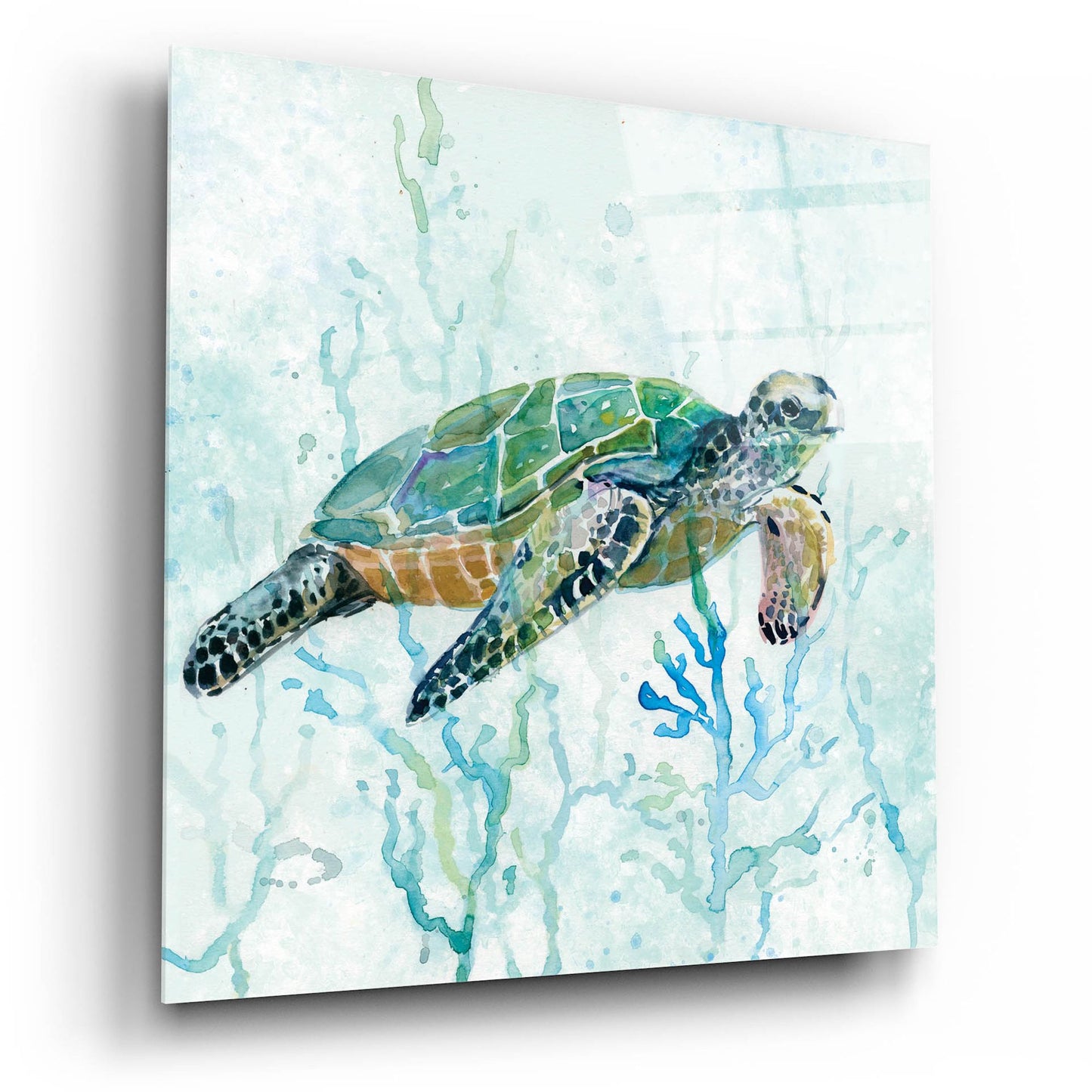 Epic Art 'Sea Turtle Swim' by Carol Robinson, Acrylic Glass Wall Art,12x12