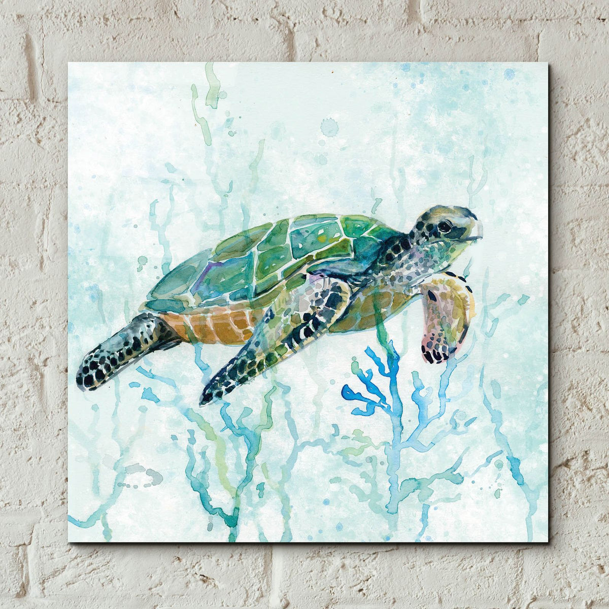 Sea Turtle Swim by Carol Robinson - 12x12 acrylic wall art in a room