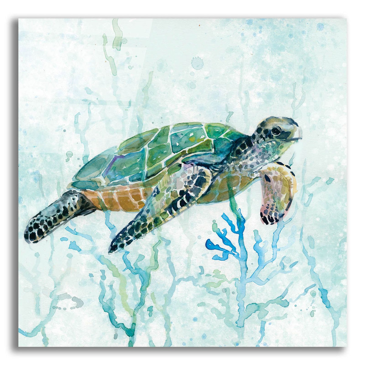 Sea Turtle Swim by Carol Robinson acrylic glass wall art
