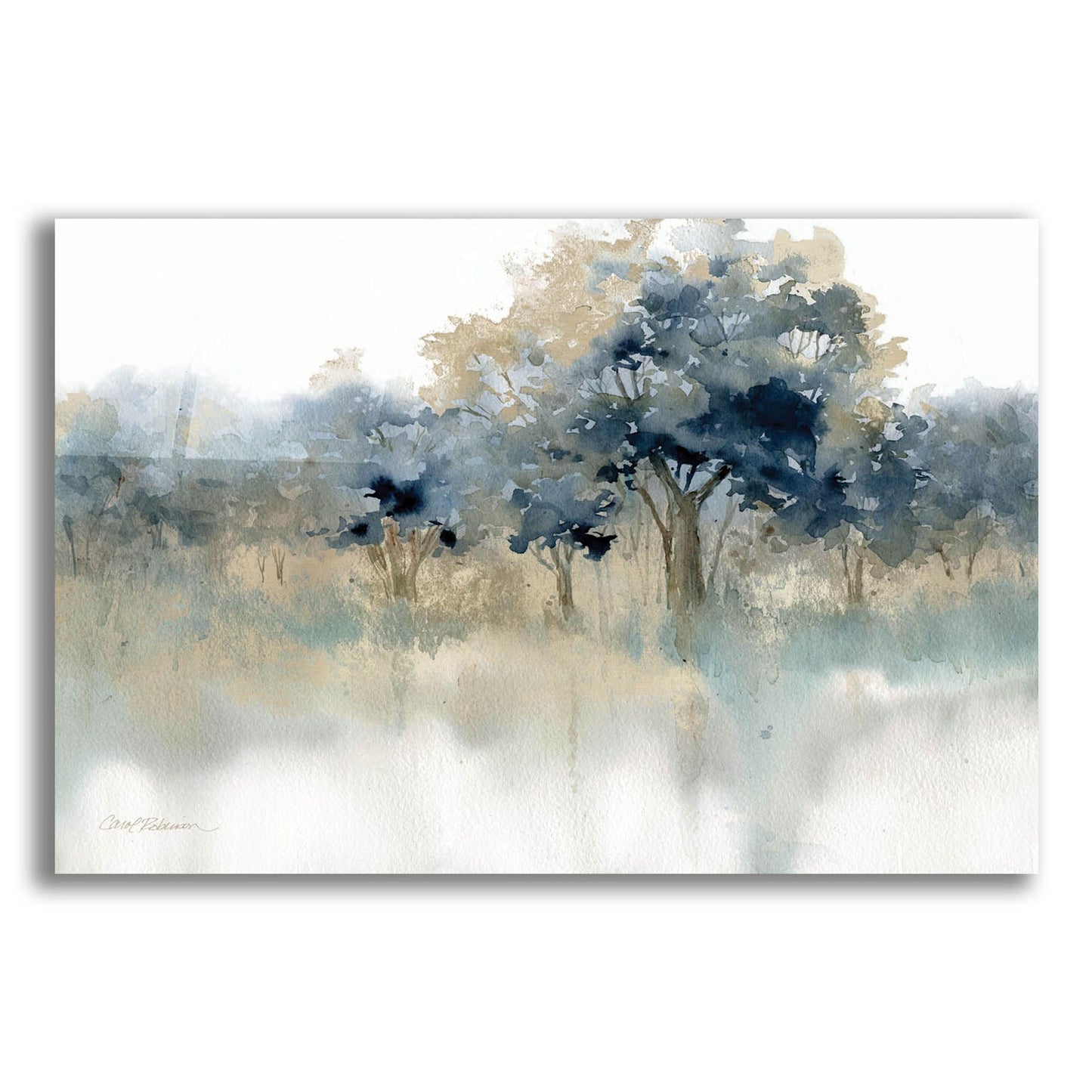 Epic Art 'Waters Edge II' by Carol Robinson, Acrylic Glass Wall Art,24x16