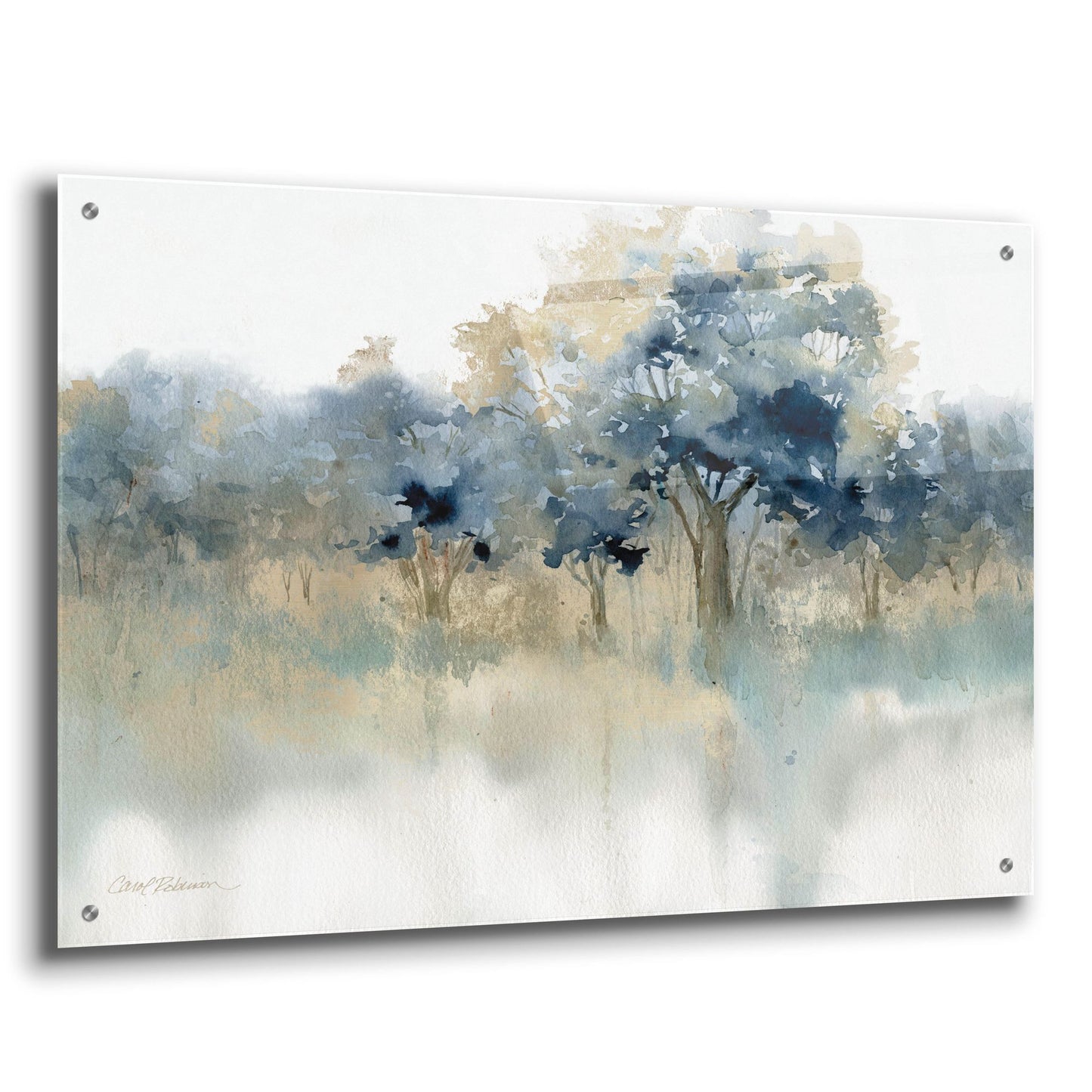 Epic Art 'Waters Edge II' by Carol Robinson, Acrylic Glass Wall Art,36x24