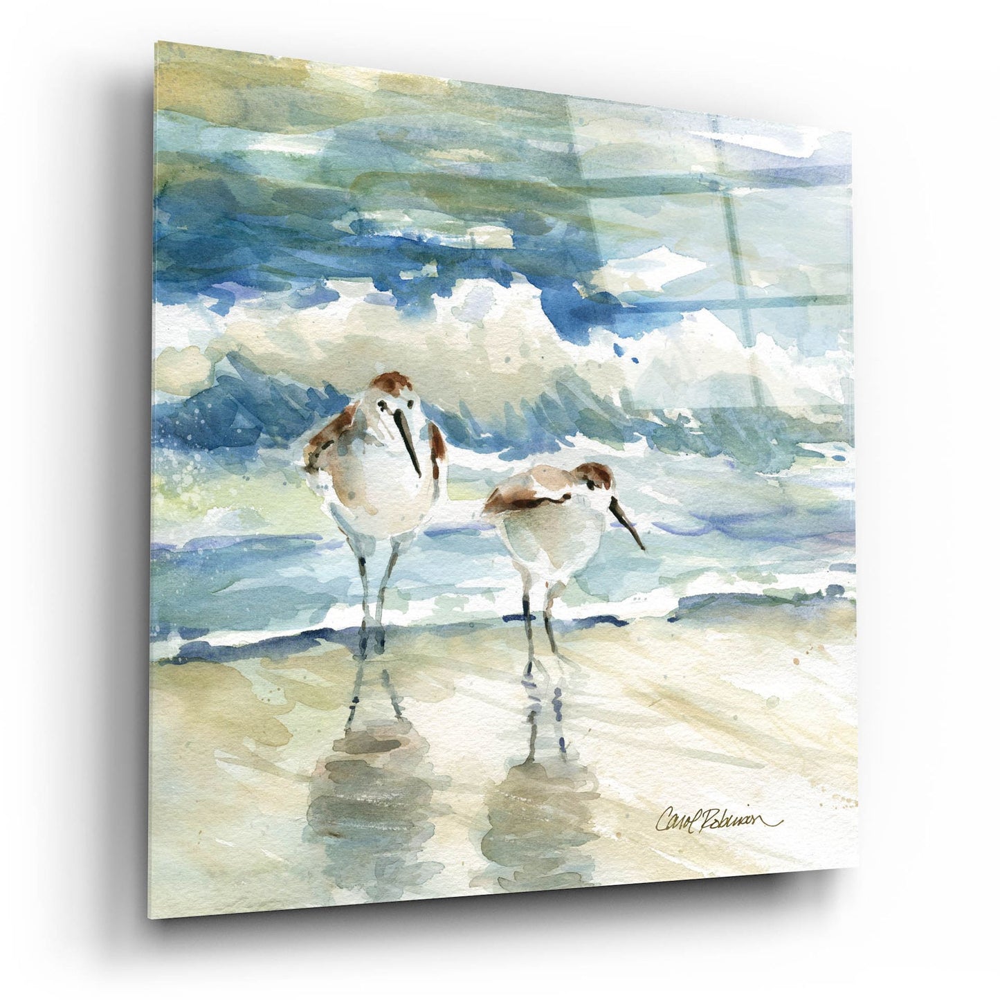 Epic Art 'Beach Birds' by Carol Robinson, Acrylic Glass Wall Art,12x12