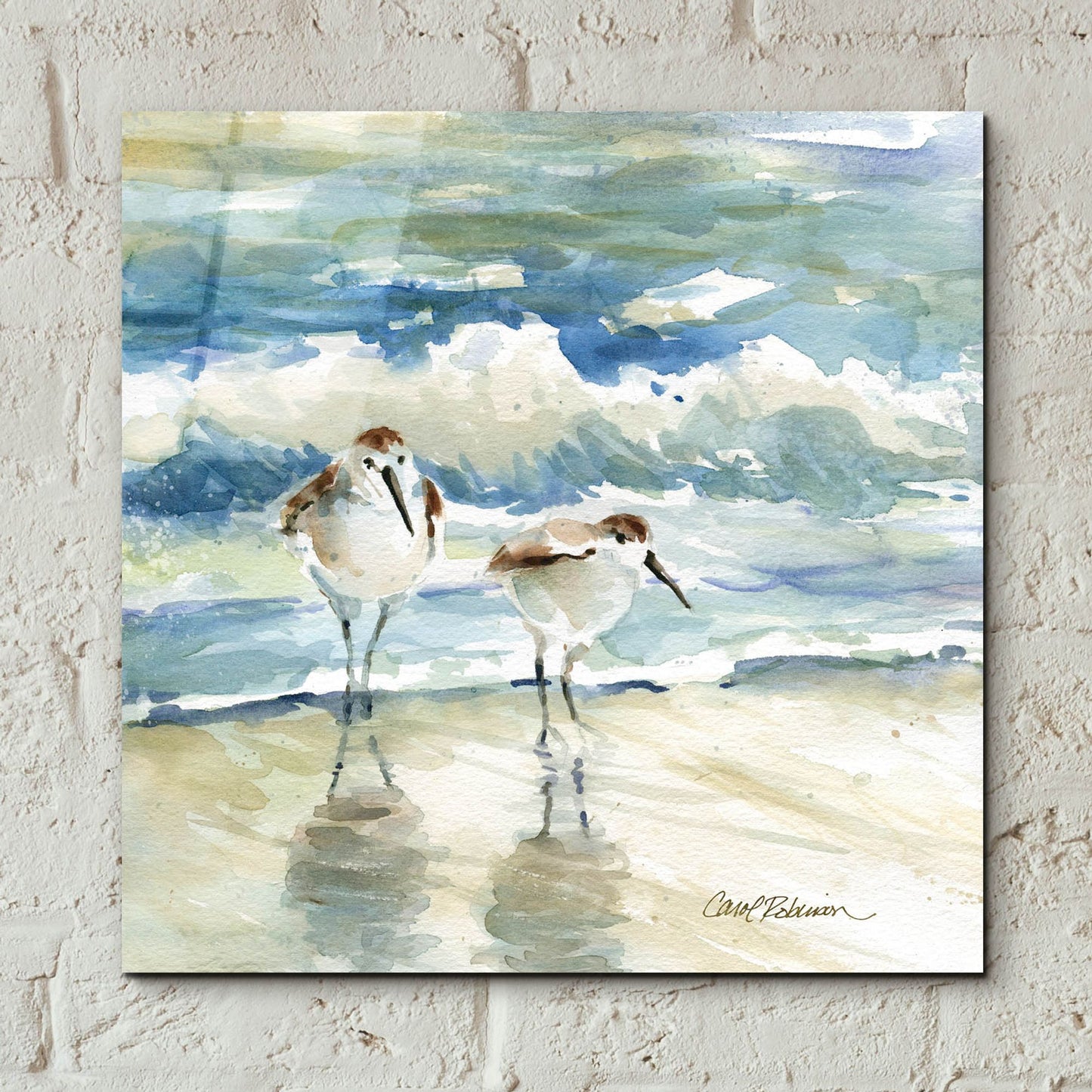 Epic Art 'Beach Birds' by Carol Robinson, Acrylic Glass Wall Art,12x12