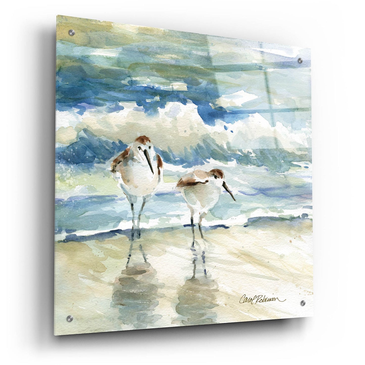 Epic Art 'Beach Birds' by Carol Robinson, Acrylic Glass Wall Art,24x24